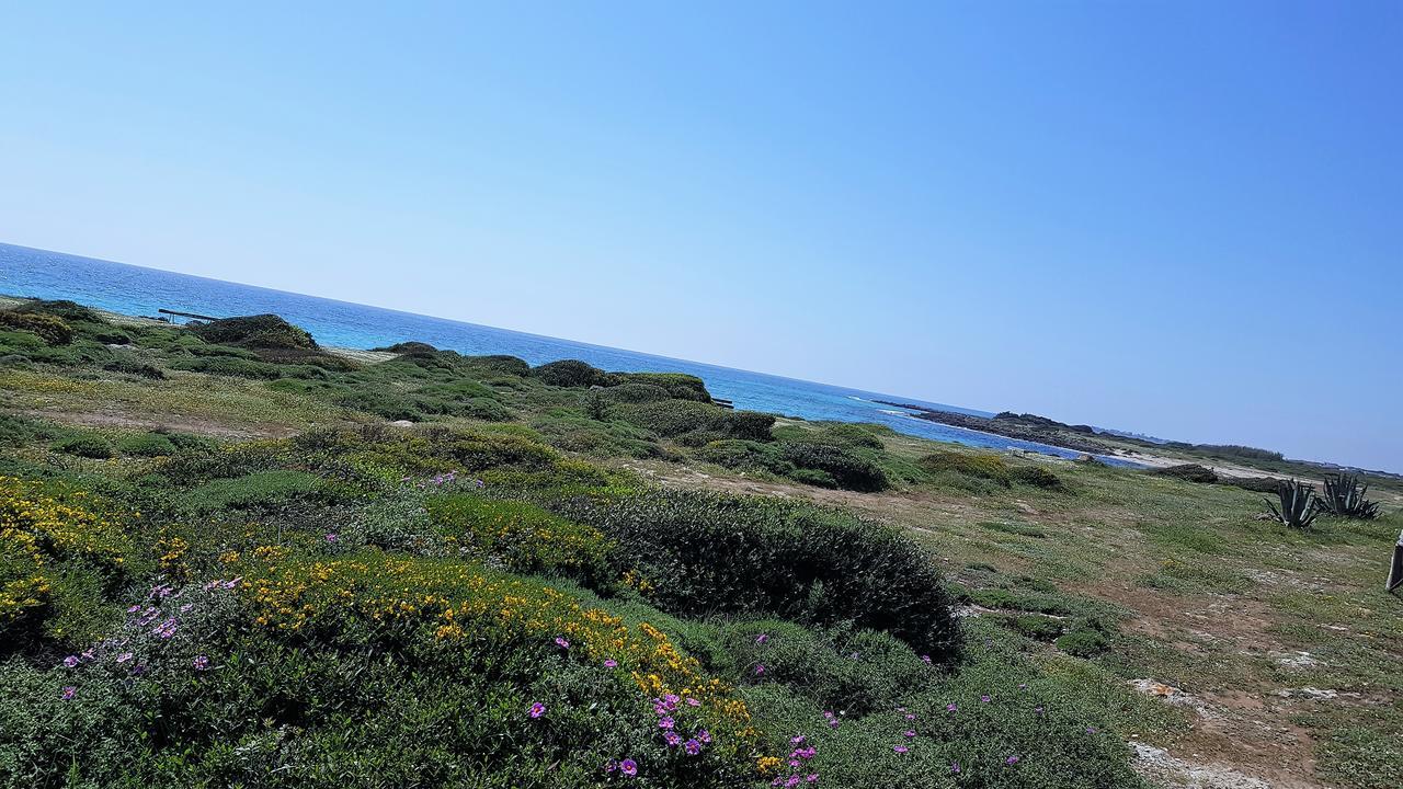 Villa Punta Prosciutto Gma Tourism Porto Cesareo Exterior foto